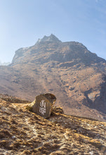 Load image into Gallery viewer, 8217289