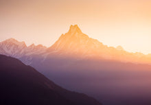 Load image into Gallery viewer, 7052136