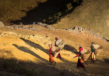 Load image into Gallery viewer, 7063147