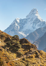 Load image into Gallery viewer, 7059412