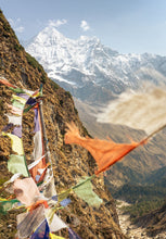 Load image into Gallery viewer, 7499412