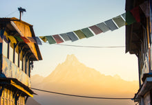 Load image into Gallery viewer, 7047437