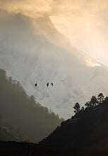 Load image into Gallery viewer, 7052305