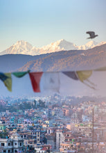 Load image into Gallery viewer, 7059351